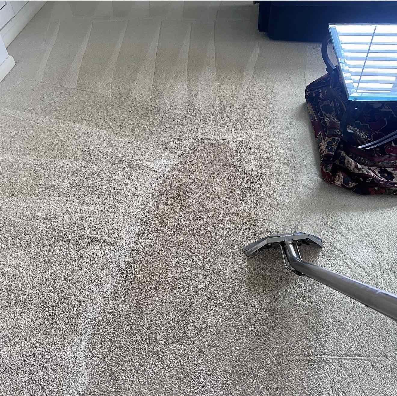 Steam wand revealing a clean stripe across a dirty carpet