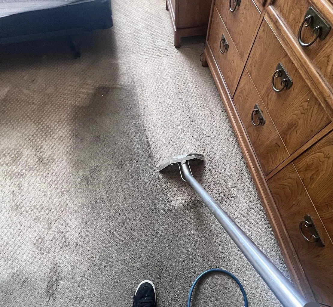 Carpet beside a dresser cleaned in even extraction passes